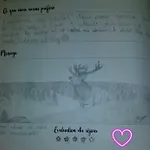 Les Vosgiennes *
