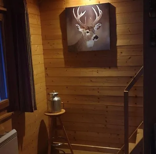 Horská chata Les Vosgiennes